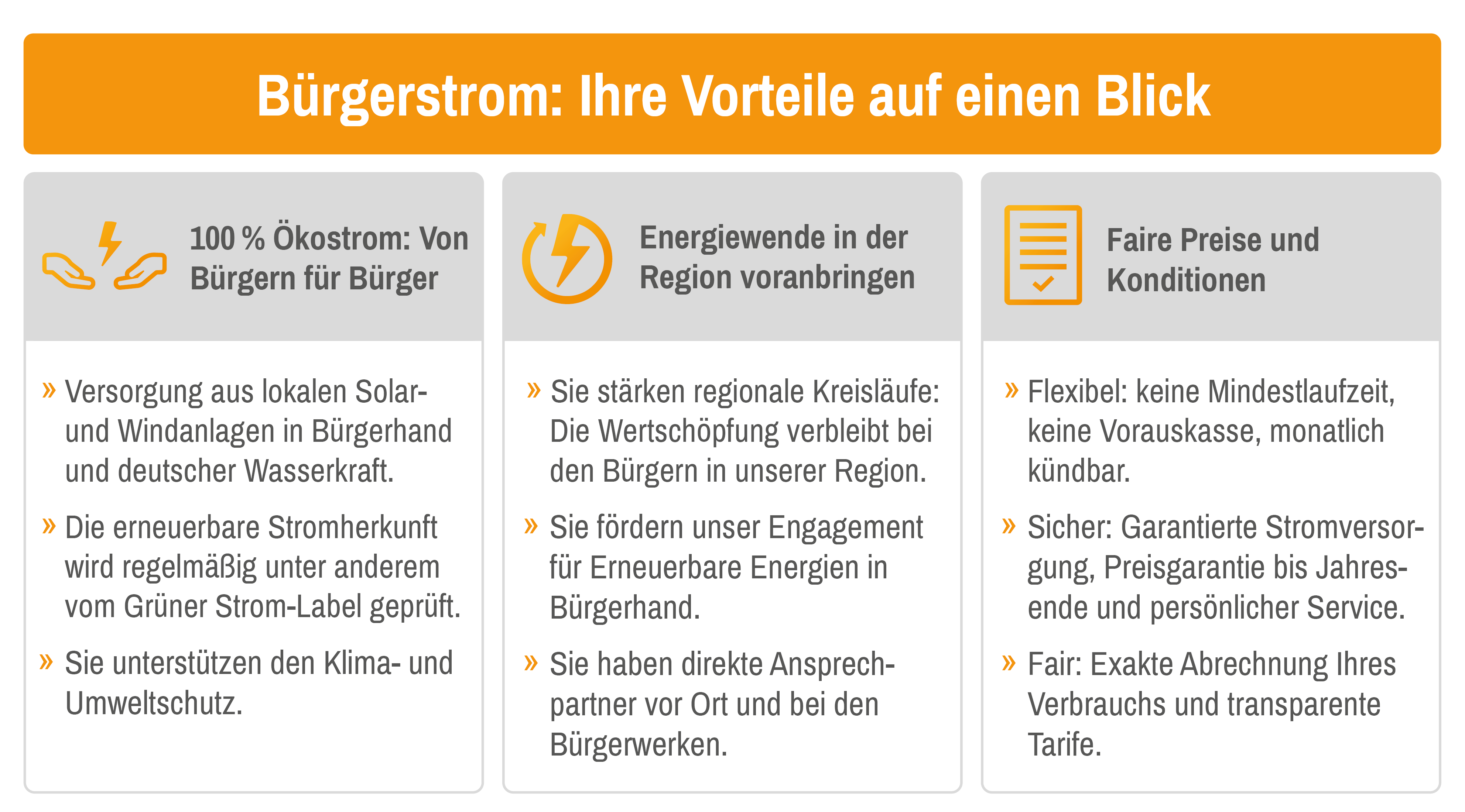 2-Vorteile-Buergerstrom